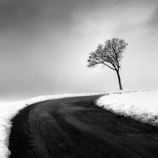 Winter Road Winter Road