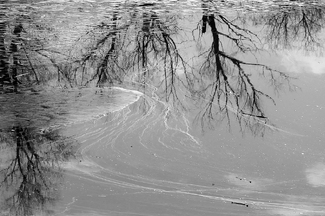 Still waters Still waters