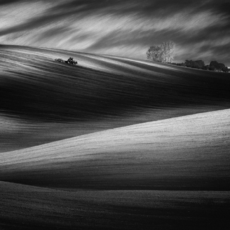 Fields of Lights and Shadows Fields of Lights and Shadows
