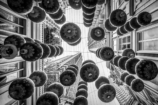 Hong Kong Chinese New Year  Hong Kong Chinese New Year