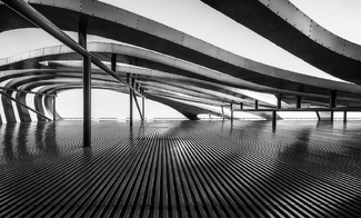 Peterson Automotive Peterson Automotive