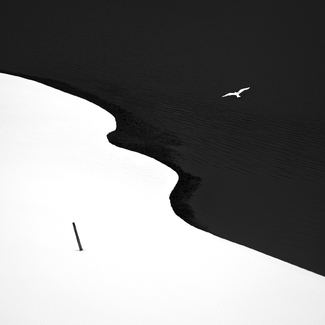 Entre Noir Et Blanc Entre Noir Et Blanc