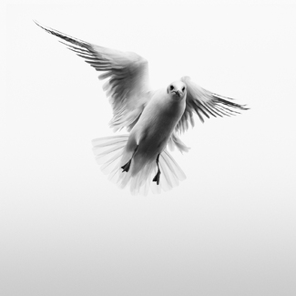 L'Instant Du Silence 1 L'Instant Du Silence 1