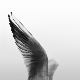 L'Instant Du Silence 4 L'Instant Du Silence 4