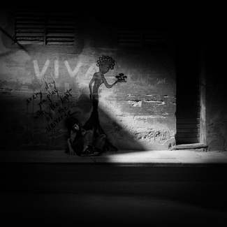 Playing With The Light Playing With The Light