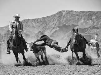 For dust and glory For dust and glory