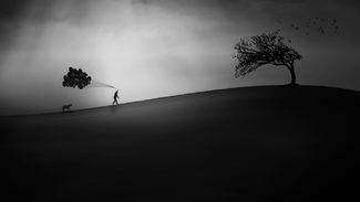 The magic mountain The magic mountain