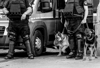 Guardians of Order Guardians of Order