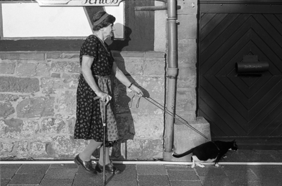 Woman Walking Cat