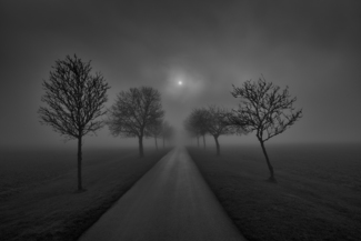 mist avenue