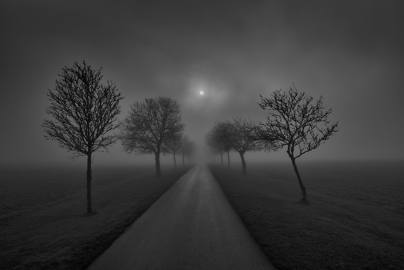 mist avenue