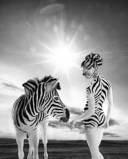 Rayures dan la Nature Rayures dan la Nature