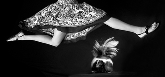 Skunk Jump Skunk Jump