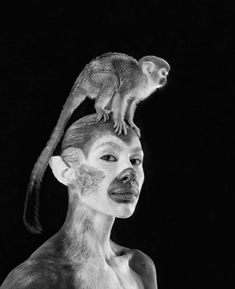 Squirrel Monkeys Squirrel Monkeys