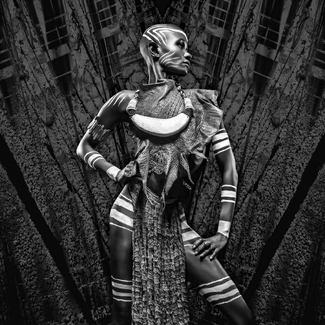 Tribal Crocodile Fashion Tribal Crocodile Fashion