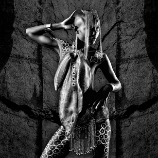 Tribal Fish Fashionista Tribal Fish Fashionista