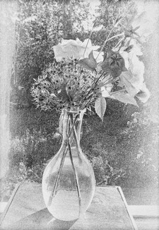 Every fair from fair sometime declines Every fair from fair sometime declines