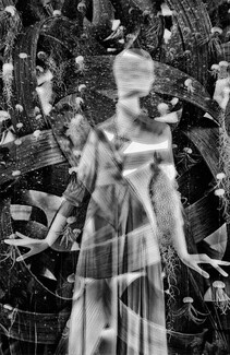 To be a wave To be a wave