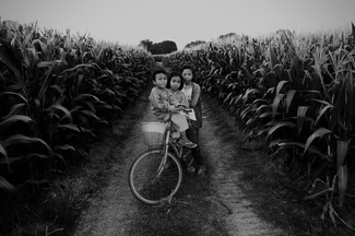 Children of the Corn Children of the Corn