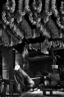 The Old Kitchen of Itbayat The Old Kitchen of Itbayat
