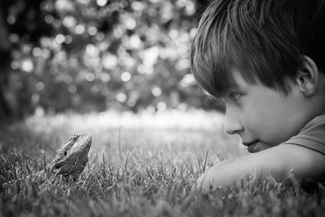 Contact with Nature Contact with Nature