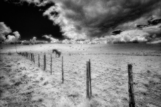 Lone Runner Lone Runner