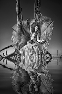 The Beast in Me  The Beast in Me