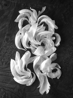 French Provincial Peony Petals