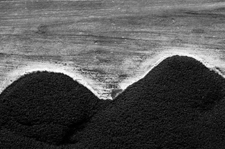 Moist Riverbed. Wolverine Canyon, Utah USA Moist Riverbed. Wolverine Canyon, Utah USA