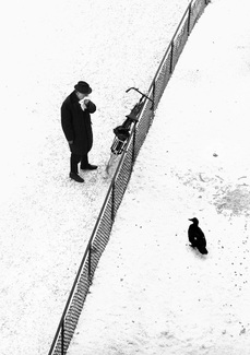 people pond people pond