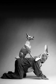 lost heroes lost heroes