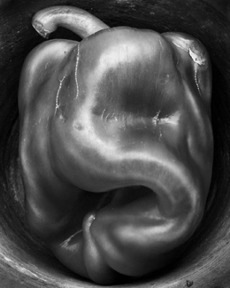 Untitled (1) Untitled (1)