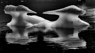 Iceberg (1) Iceberg (1)