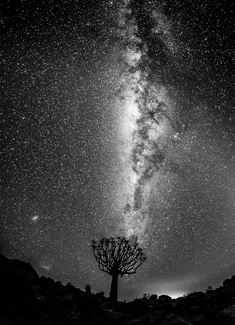 MilkyWay MilkyWay