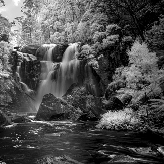 Stevensons Falls Stevensons Falls
