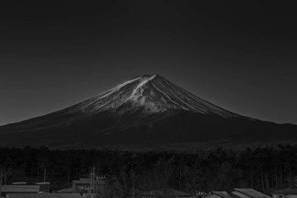 Ray of Fuji