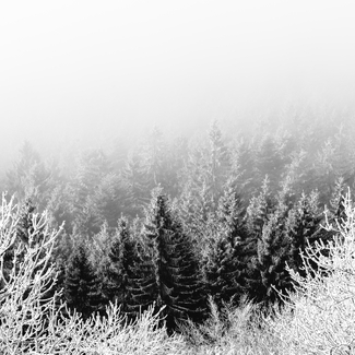 Winter Winter