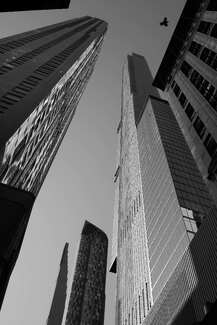 Building and bird Building and bird