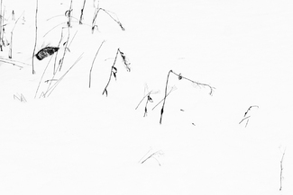 Poem from the frozen north 3 Poem from the frozen north 3