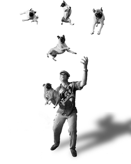 Pugjuggler Pugjuggler