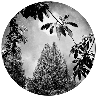 Monocle: Summer 2 Monocle: Summer 2