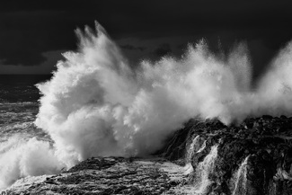 Wild Waves Wild Waves