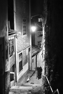 Evening Walk Evening Walk
