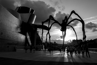 Guggenheim Spider Guggenheim Spider