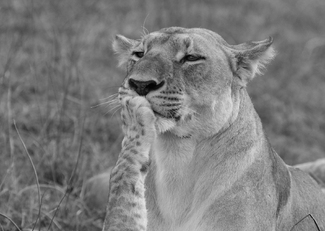 Mom Go Away Mom Go Away