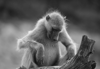 Yep It's Still There Yep It's Still There