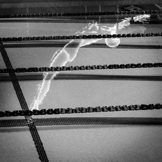 Night Diver Night Diver