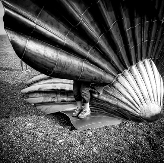 Legs & Shell Legs & Shell