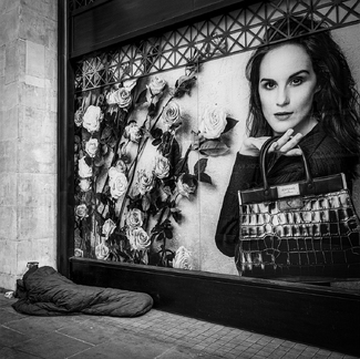 Contrasts Contrasts