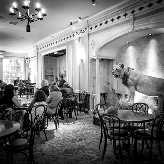 Impending Carnage? Impending Carnage?